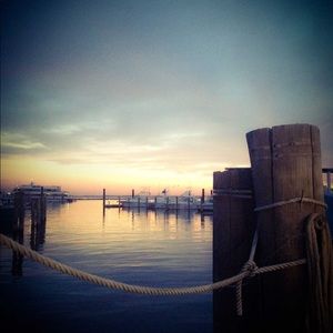 Meet your Posher, Dimas